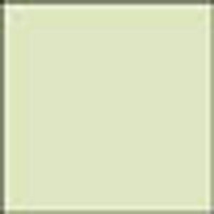 7318761039027 - Kopierpapier COLOURED PAPER hellgrün DIN A4 80 g qm 500 Blatt