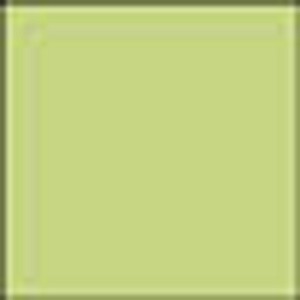 7318761039263 - Kopierpapier COLOURED PAPER leuchtend grün DIN A4 80 g qm 500 Blatt 7318761039263 - Kopierpapier COLOURED PAPER leuchtend grün DIN A4 80 g qm 500 Blatt