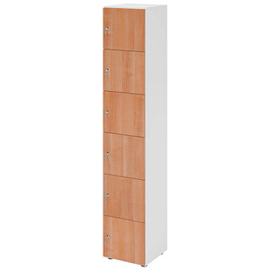 4032062313640 - HAMMERBACHER Schließfachschrank weiß nussbaum V264L6 W N DS 6 Schließfächer 400 x 420 x 2156 cm