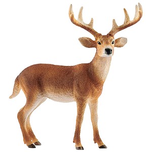 4055744029608 - Wild Life 14818 Weisswedelhirsch Spielfigur 4055744029608 Schleich 4055744029608 - Wild Life 14818 Weisswedelhirsch Spielfigur 4055744029608 Schleich