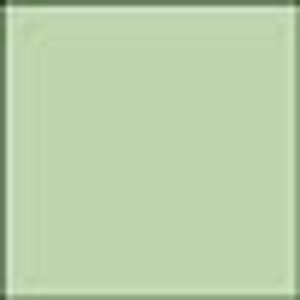 7318761039508 - Kopierpapier COLORED PAPER mittelgrün DIN A4 80 g qm 500 Blatt