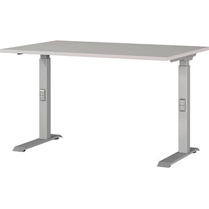 4005949791985 - Schreibtisch DOWNEY 7910-643 manuell höhenverstellbar 68-91cm (H) 120x80cm (BxT) rechteckig kaschmir silber 4005949791985 4005949791985 - Schreibtisch DOWNEY 7910-643 manuell höhenverstellbar 68-91cm (H) 120x80cm (BxT) rechteckig kaschmir silber 4005949791985