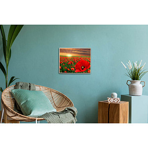 4016490818861 - Bastelset Mohnblumen mehrfarbig 4016490818861 PRACHT Creatives 4016490818861 - Bastelset Mohnblumen mehrfarbig 4016490818861 PRACHT Creatives