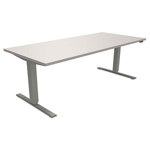 4260267321881 - fm fastline elektrisch höhenverstellbarer Schreibtisch lichtgrau rechteckig T-Fuß-Gestell silber 1800 x 800 cm 4260267321881 - fm fastline elektrisch höhenverstellbarer Schreibtisch lichtgrau rechteckig T-Fuß-Gestell silber 1800 x 800 cm