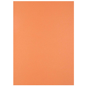 4002030050853 - Aktendeckel Smart Line 100091654 A4 orange Recyclingkarton 250g 4002030050853 100 Stück 4002030050853 - Aktendeckel Smart Line 100091654 A4 orange Recyclingkarton 250g 4002030050853 100 Stück