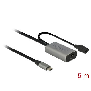 DeLOCK Super Speed USB C 3.1/Super Speed USB C 3.1 Kabel Verlängerung 0,5 m grau, 1 St.