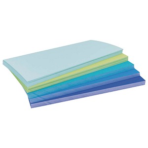 4013695066974 -  magnetoplan Moderationskarte Sea 112501530 200x100mm sort 250St 4013695066974 Magnetoplan Holtz 250 Stück