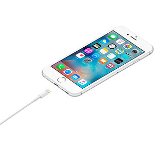 0195949087714 - iPad iPhone iPod Anschlusskabel [1x Lightning - 1x USB-A] 100 m Weiß