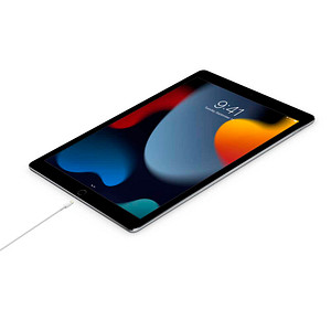 0195949085611 - iPad iPhone iPod Anschlusskabel [1x USB-C® Stecker - 1x Lightning] 100 m Weiß
