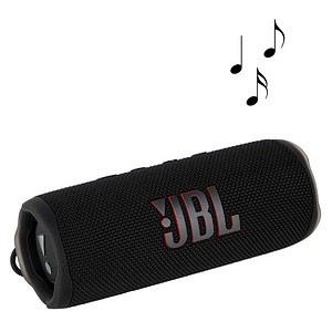 Flip 6 (12 h) Bluetooth Lautsprecher Schwarz