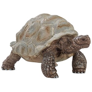 4055744033667 - Spielzeugfigur Riesenschildkröte 4055744033667 SCHLEICH 14824