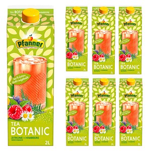 9006900217174 - Eistee  Himbeere Zitrone 6x 20 l