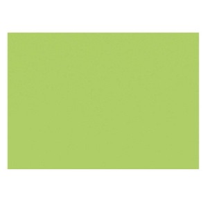 4011211083870 - Designbriefumschläge C6 EcoRainbow ohne Fenster haftklebend 80g leuchtgrün 4011211083870 MailMedia 25 Stück 4011211083870 - Designbriefumschläge C6 EcoRainbow ohne Fenster haftklebend 80g leuchtgrün 4011211083870 MailMedia 25 Stück