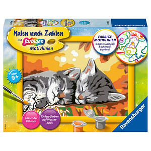 4005556286966 - Ravensburger Malen nach Zahlen 28696 - Kätzchen im Herbst - Kinder ab 9 Jahren