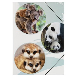 4009212063120 - Gummizugmappe A3 PP cute Bären 4009212063120 Pagna 4009212063120 - Gummizugmappe A3 PP cute Bären 4009212063120 Pagna