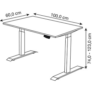 4044917453562 - Move 1 elektrisch höhenverstellbarer Schreibtisch eiche hell rechteckig T-Fuß-Gestell grau 1000 x 600 cm