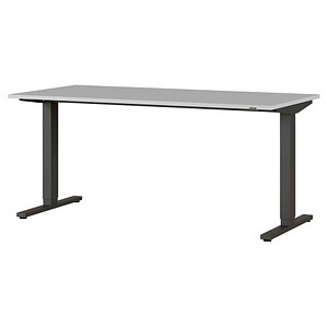 4005949424289 - Schreibtisch Agenda elektrisch höhenverstellbar Rechteck T-Fuß B 1600 x T 800 x H 730-1200 mm lichtgrau schwarz + Kabelschacht