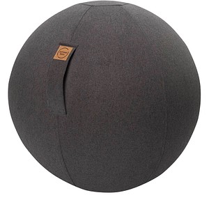 4005380455712 - Gymnastikball Sitzball Sitting Ball FELT anthrazit SITTING POINT - B-Ware sehr gut