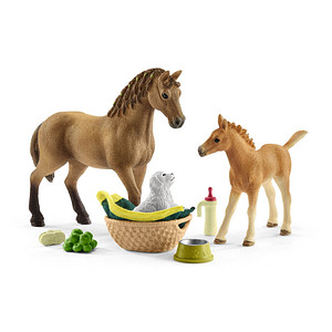 4059433572772 - Horse Club 42432 Sarahs Tierbaby-Pflege Spielfiguren-Set 4059433572772 Schleich