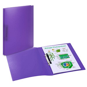 4008705191838 - Ringbuch 19183 A4 2 Ringe 25mm Ring-Ø Polypropylen violett-transparent 4008705191838 Herma 4008705191838 - Ringbuch 19183 A4 2 Ringe 25mm Ring-Ø Polypropylen violett-transparent 4008705191838 Herma