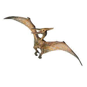 3465000550066 - 55006 Dinosaurier Pteranodon Spielfigur 3465000550066 papo