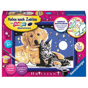 4005556280162 - Malen nach Zahlen 13x18 cm mit farbigen Motivlinien & Glitzersteine Funkelnder Sternenhimmel Hund & Katze