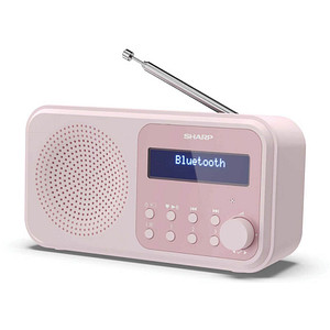 4974019204529 - DR-P420 - Tragbar - Digital - DAB - DAB+ - FM - Automatischer Suchlauf - Automatisches Tuning - 2 W - AAC (DR-P420PK)