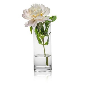 8581782191138 - Vase Ambiente transparent 8581782191138 - Vase Ambiente transparent