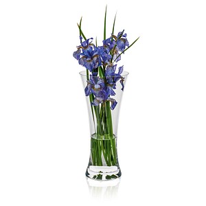8581782191213 - Vase Ambiente transparent