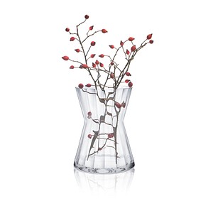 8581782324277 - Vase Ambiente transparent