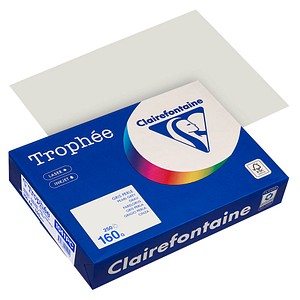 3329680002010 - Kopierpapier Trophée Color 1041PC A4 160g grau  3329680002010 250 Blatt