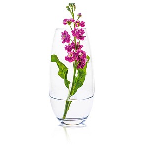 8581782191367 - Vase Ambiente transparent