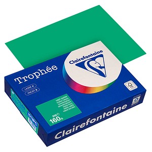 3329680002799 - Kopierpapier Trophée tannengrün DIN A4 160 gm² 250 Blatt 3329680002799 250 Blatt