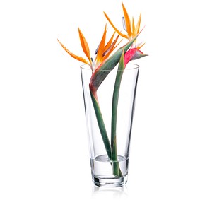 8581782191152 - Vase Ambiente transparent 8581782191152 - Vase Ambiente transparent