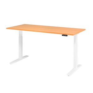 4032062190975 - HAMMERBACHER XMKA19 elektrisch höhenverstellbarer Schreibtisch buche rechteckig C-Fuß-Gestell weiß 1800 x 800 cm