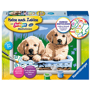 4005556278398 - Malen-nach-Zahlen Süße Hundewelpen mehrfarbig 4005556278398 Ravensburger 4005556278398 - Malen-nach-Zahlen Süße Hundewelpen mehrfarbig 4005556278398 Ravensburger