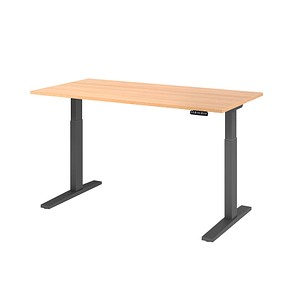 4032062185612 - Sitz-Steh-Schreibtisch VXMKA16 E G elektrisch höhenverstellbar 70-120cm (H) 160x80cm (BxT) rechteckig eiche graphit 403206 4032062185612 - Sitz-Steh-Schreibtisch VXMKA16 E G elektrisch höhenverstellbar 70-120cm (H) 160x80cm (BxT) rechteckig eiche graphit 403206