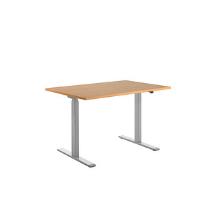 4014296860480 - Sitz-Steh-Schreibtisch E-Table TTS12080GB elektrisch höhenverstellbar 70-120cm (H) 120cmx80cm (BxT) rechteckig buche Licht 4014296860480 - Sitz-Steh-Schreibtisch E-Table TTS12080GB elektrisch höhenverstellbar 70-120cm (H) 120cmx80cm (BxT) rechteckig buche Licht
