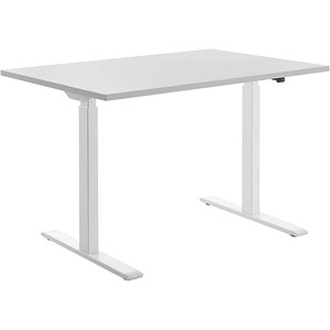 4014296873909 - Sitz-Steh-Schreibtisch E-Table TTS12080WG elektrisch höhenverstellbar 70-120cm (H) 120cmx80cm (BxT) rechteckig lichtgrau W 4014296873909 - Sitz-Steh-Schreibtisch E-Table TTS12080WG elektrisch höhenverstellbar 70-120cm (H) 120cmx80cm (BxT) rechteckig lichtgrau W