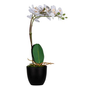 3660141963427 - Kunstpflanze meet® by Paperflow Weiße Orchidee inkl Kunststoff-Topf H 400 mm Seide Kunststoff 3660141963427 - Kunstpflanze meet® by Paperflow Weiße Orchidee inkl Kunststoff-Topf H 400 mm Seide Kunststoff