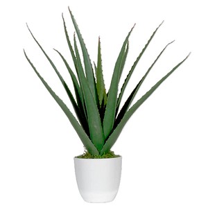 3660141963533 - Kunstpflanze meet® by Paperflow Aloe Vera inkl Kunststoff-Topf H 450 mm PE 3660141963533 - Kunstpflanze meet® by Paperflow Aloe Vera inkl Kunststoff-Topf H 450 mm PE