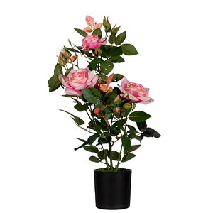 3660141963588 - Kunstpflanze PARROS54 Rosenstock ro 54cm 3660141963588 PAPERFLOW