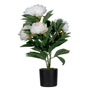 3660141963625 - Kunstpflanze meet® by Paperflow Pfingstrose inkl Kunststoff-Topf H 550 mm Polyester PE