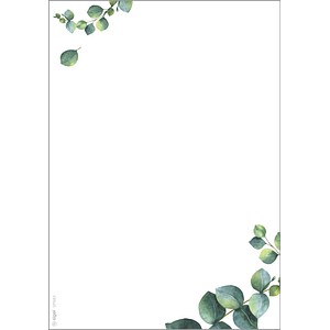 4004360770791 - SIGEL Motivpapier weißgrün DIN A5 90 g m² 100 Blatt