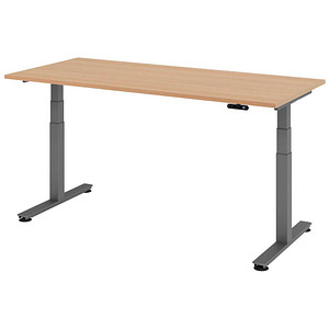 4032062306864 - HAMMERBACHER XDSM19 elektrisch höhenverstellbarer Schreibtisch eiche rechteckig T-Fuß-Gestell grau 1800 x 800 cm 4032062306864 - HAMMERBACHER XDSM19 elektrisch höhenverstellbarer Schreibtisch eiche rechteckig T-Fuß-Gestell grau 1800 x 800 cm