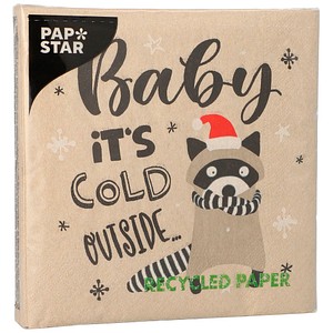 4002911579640 - 20 PAPSTAR Servietten It´s cold outside 4002911579640 PAPSTAR 20 Stück