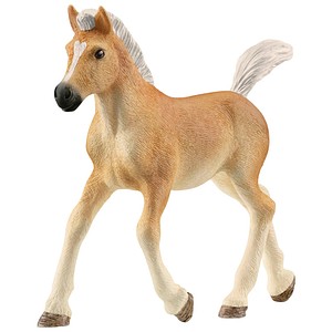 4059433557519 - Horse Club 13951 Haflinger Fohlen Spielfigur 4059433557519 Schleich