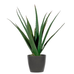 3660141963533 - Kunstpflanze meet® by Paperflow Aloe Vera inkl Kunststoff-Topf H 450 mm PE 3660141963533 - Kunstpflanze meet® by Paperflow Aloe Vera inkl Kunststoff-Topf H 450 mm PE