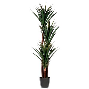 3660141963557 - Kunstpflanze PAYUC150 Yucca 150cm 3660141963557 PAPERFLOW