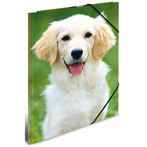 4008705898591 - Sammelmappen DIN A4 Hunde 4008705898591 3 Stück 4008705898591 - Sammelmappen DIN A4 Hunde 4008705898591 3 Stück